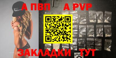 прущие грибы Нальчик