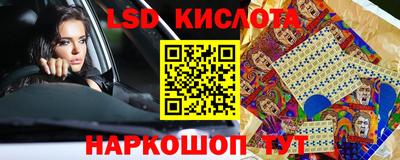 прущие грибы Нальчик