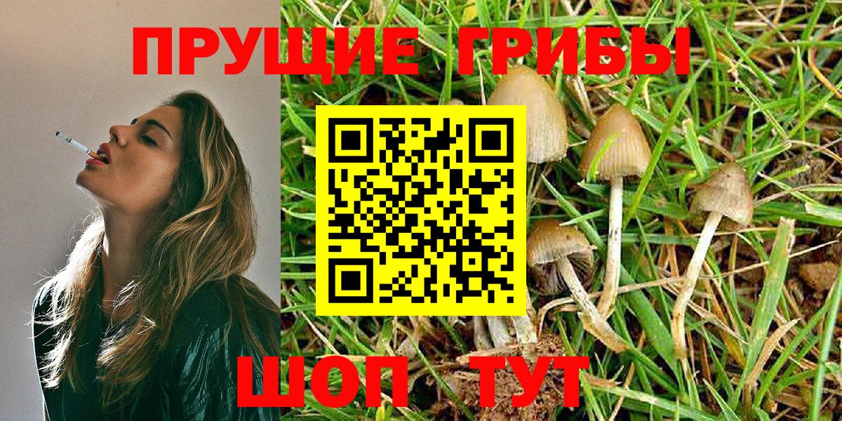 Галлюциногенные грибы GOLDEN TEACHER  Вход с VPN  Ухта 